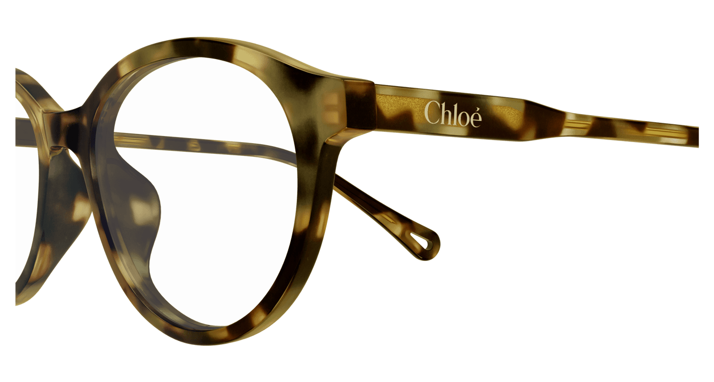 Chloe CH0316OA Eyeglasses 889652544717