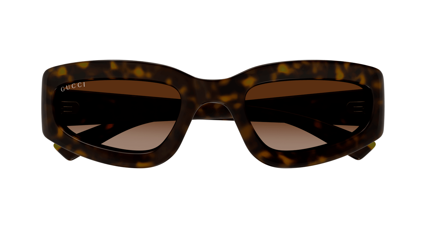 Gucci GG1787S Havana 889652531618