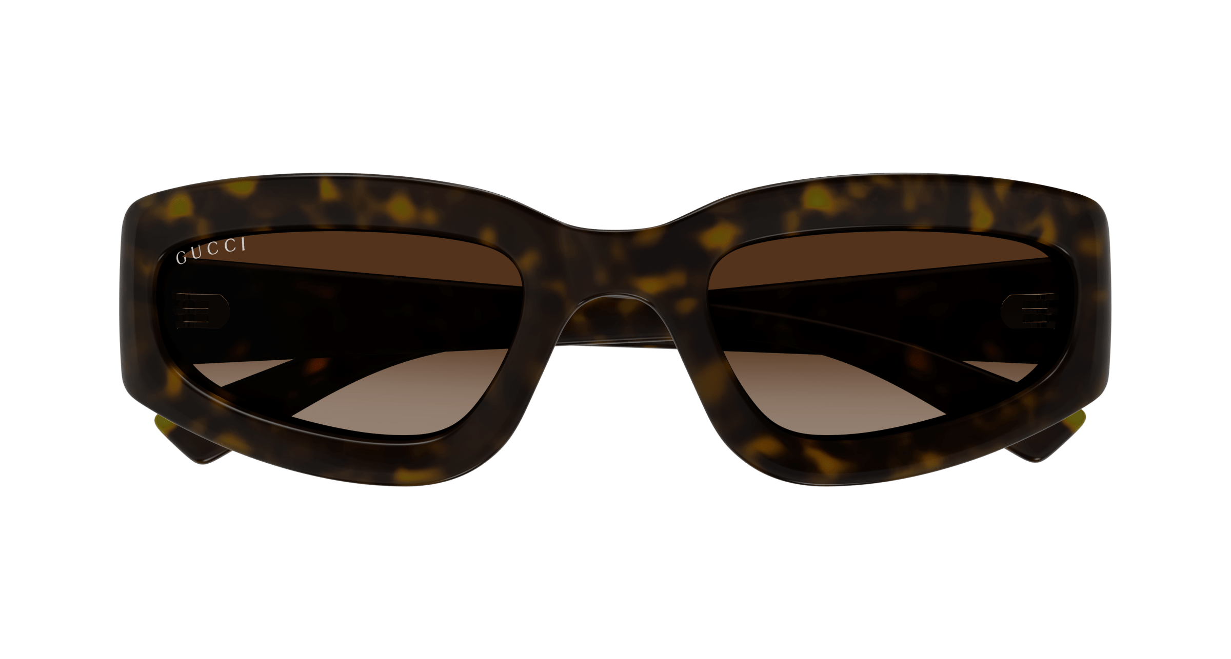 Gucci GG1787S Havana 889652531618