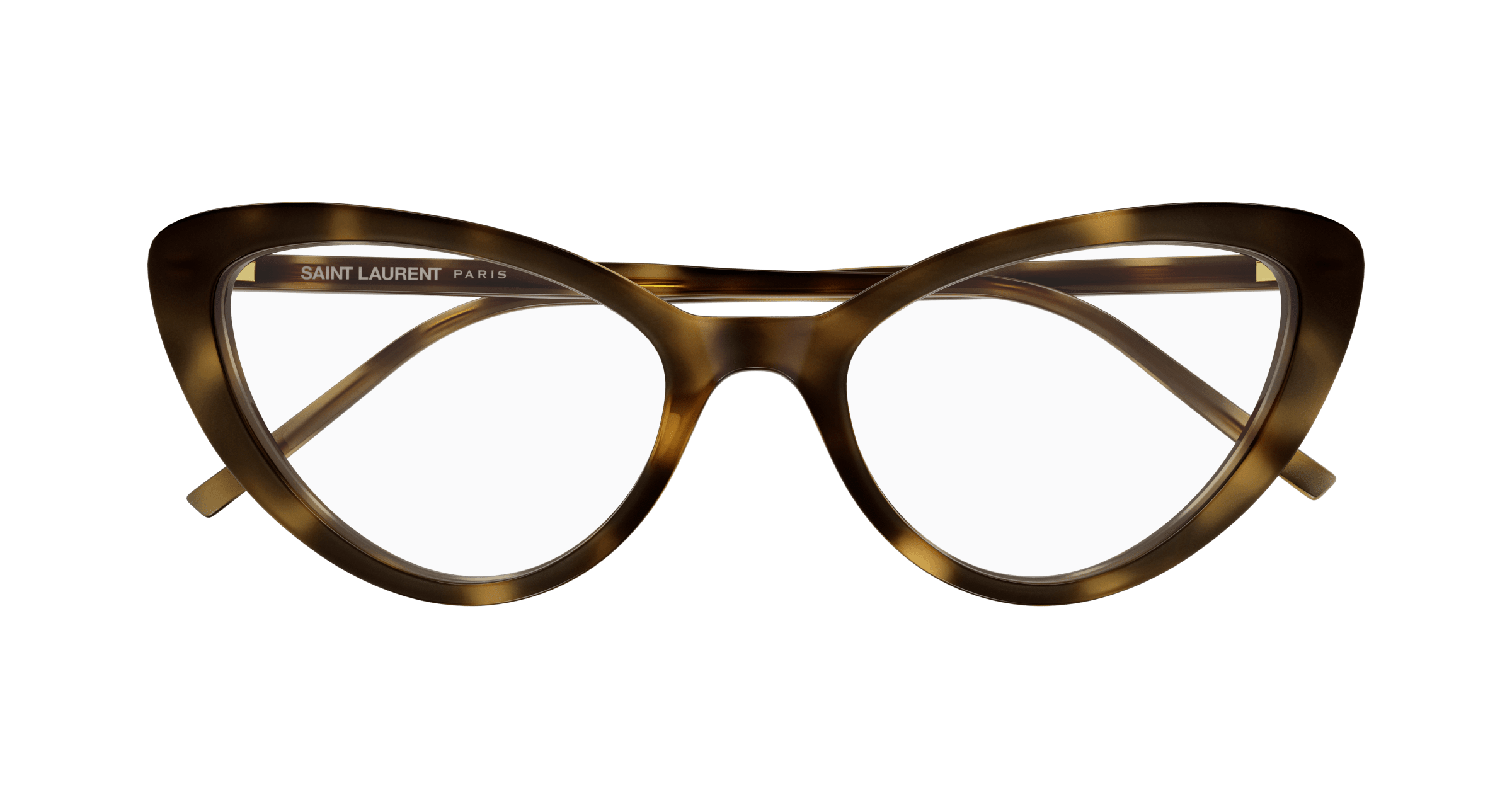 Havana Eyeglasses Saint Laurent 889652555751