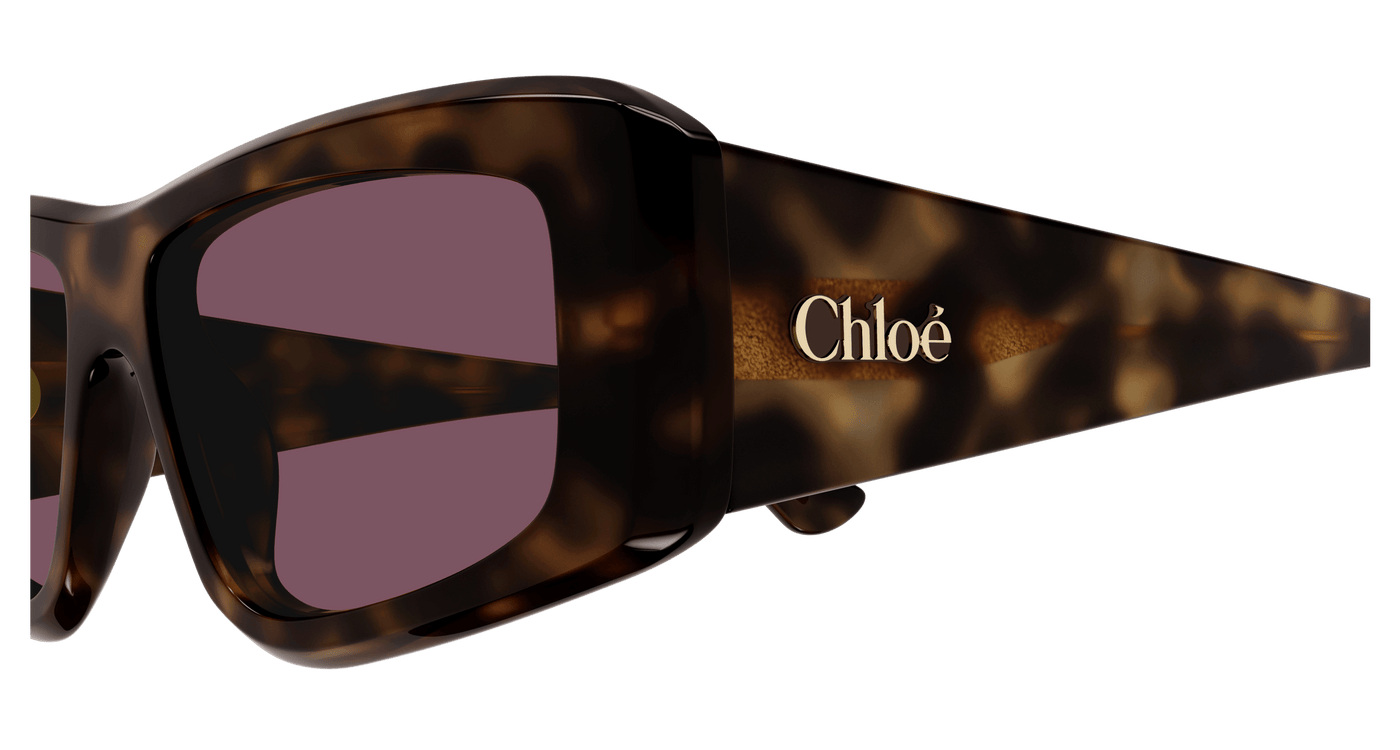 Chloe CH0299S Sunglasses 889652544069