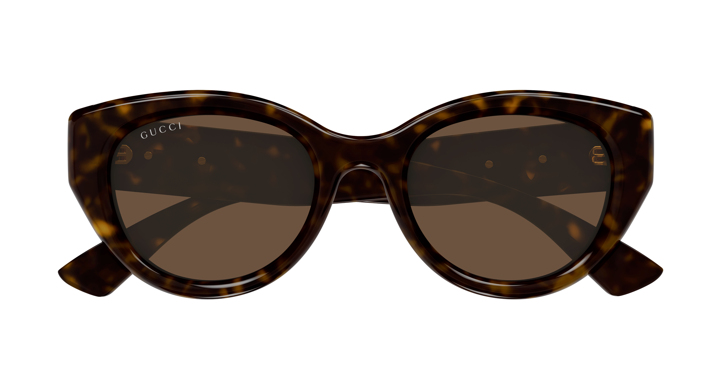Gucci GG1976SK Havana 889652567969