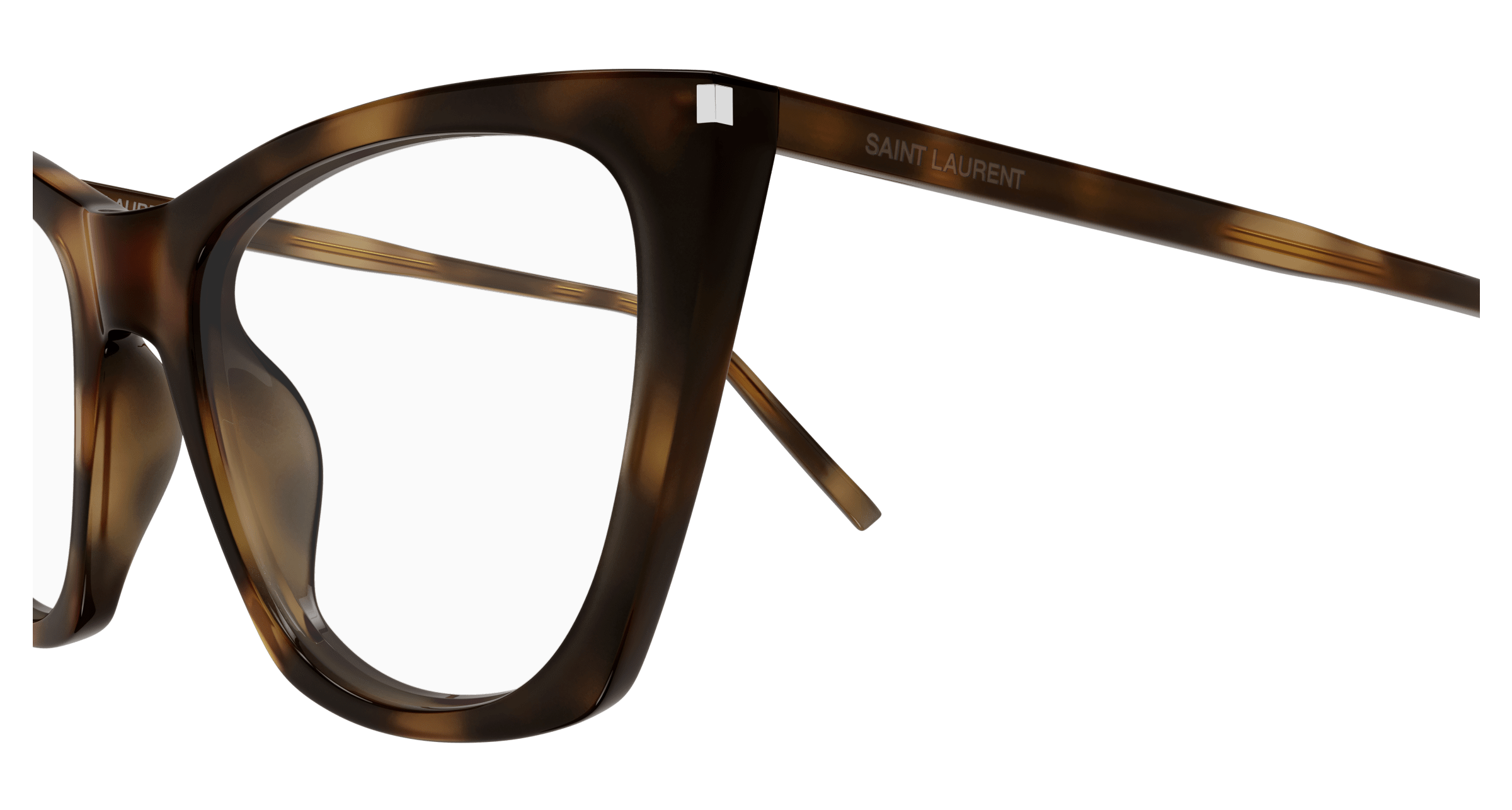 Havana Eyeglasses Saint Laurent 889652561288