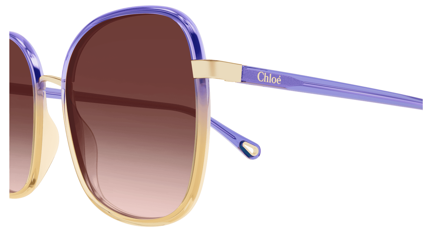 Chloe CH0031S Sunglasses 889652543444