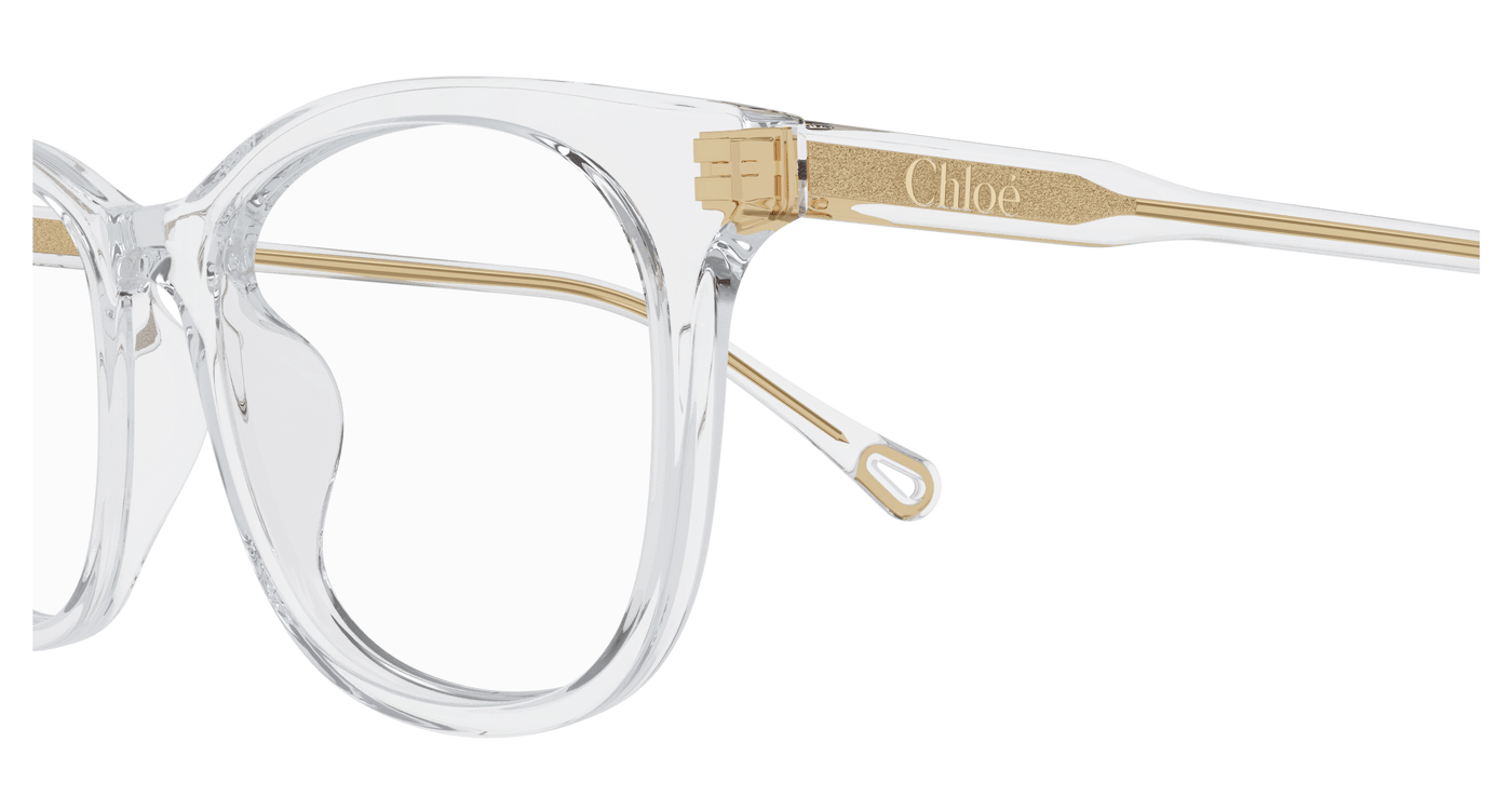 Chloe CH0314OA Eyeglasses 889652544694