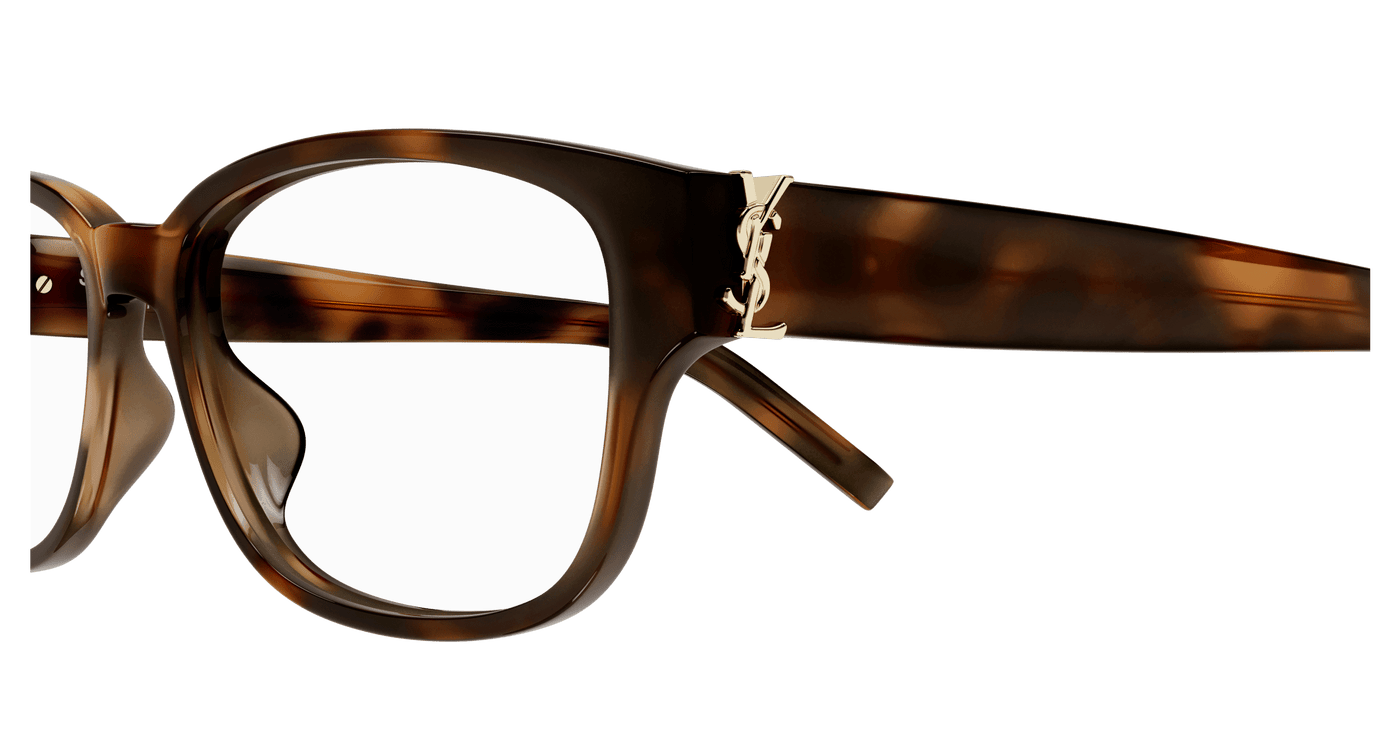 Saint Laurent SL M149/F Havana 959 889652555959