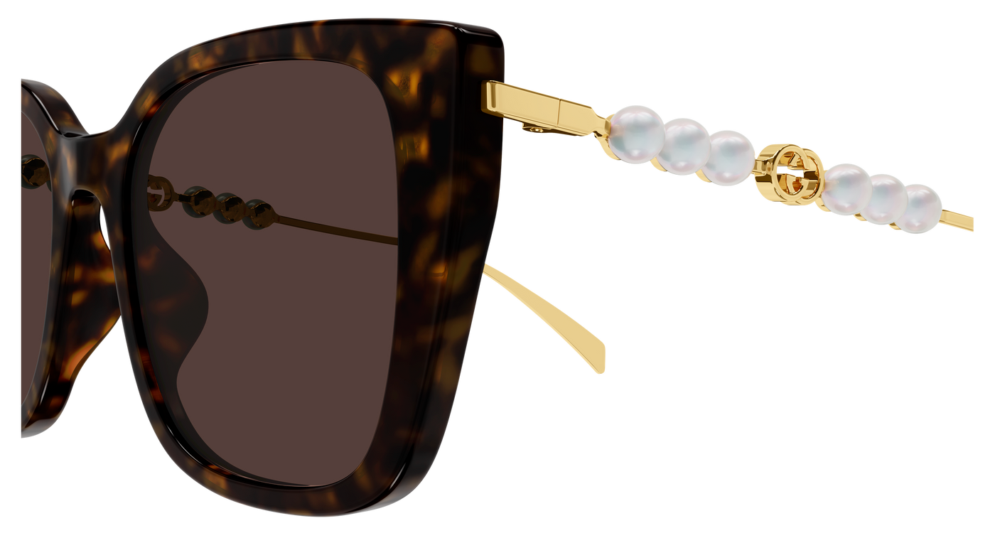 Gucci GG1971SA Havana 889652568997