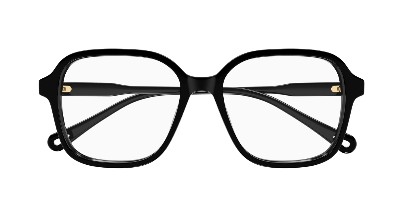 Chloe CH0313O Eyeglasses 889652544618