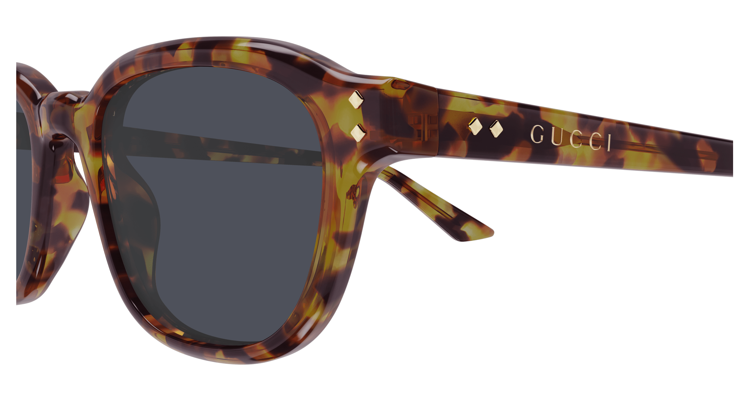 Havana Sunglasses Gucci 889652528922