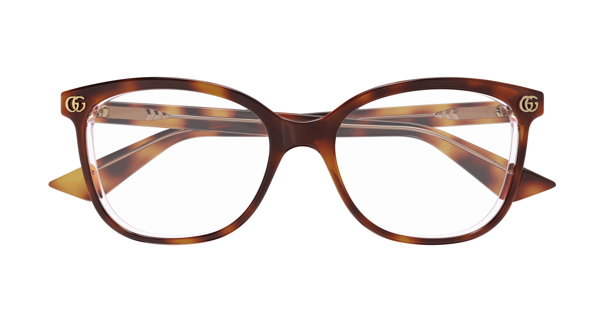 Havana Eyeglasses Gucci 889652531953