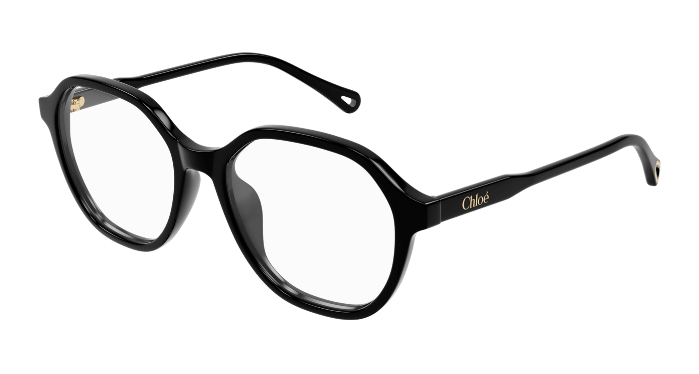 Chloe CH0315OA Eyeglasses 889652544779