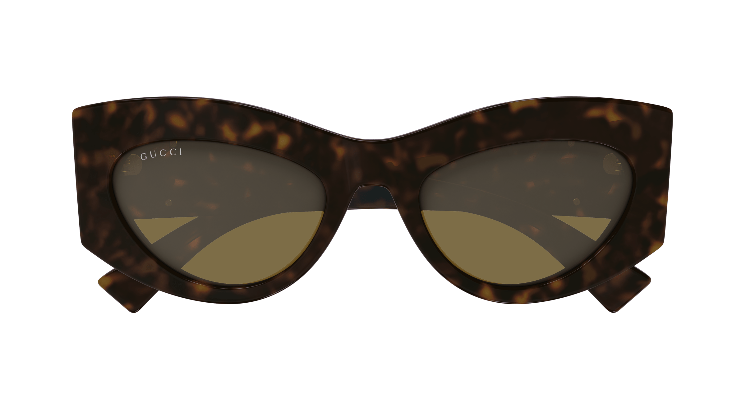 Havana Sunglasses Gucci 889652528809