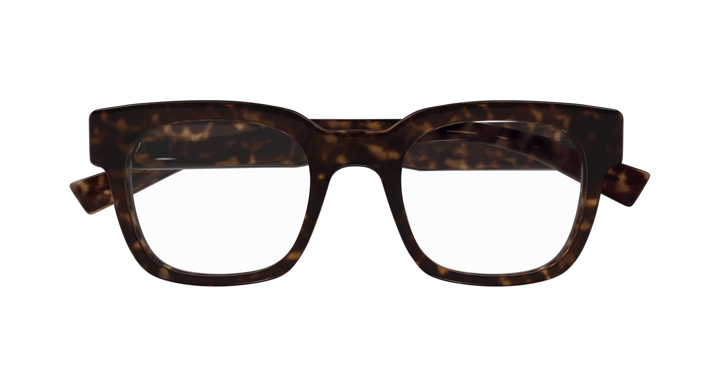 Havana Eyeglasses Saint Laurent 889652561400