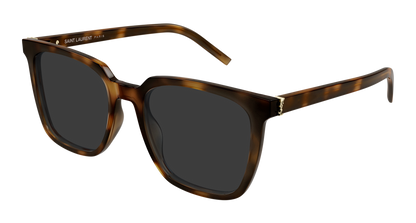 Saint Laurent SL M146 Havana 898 889652555898