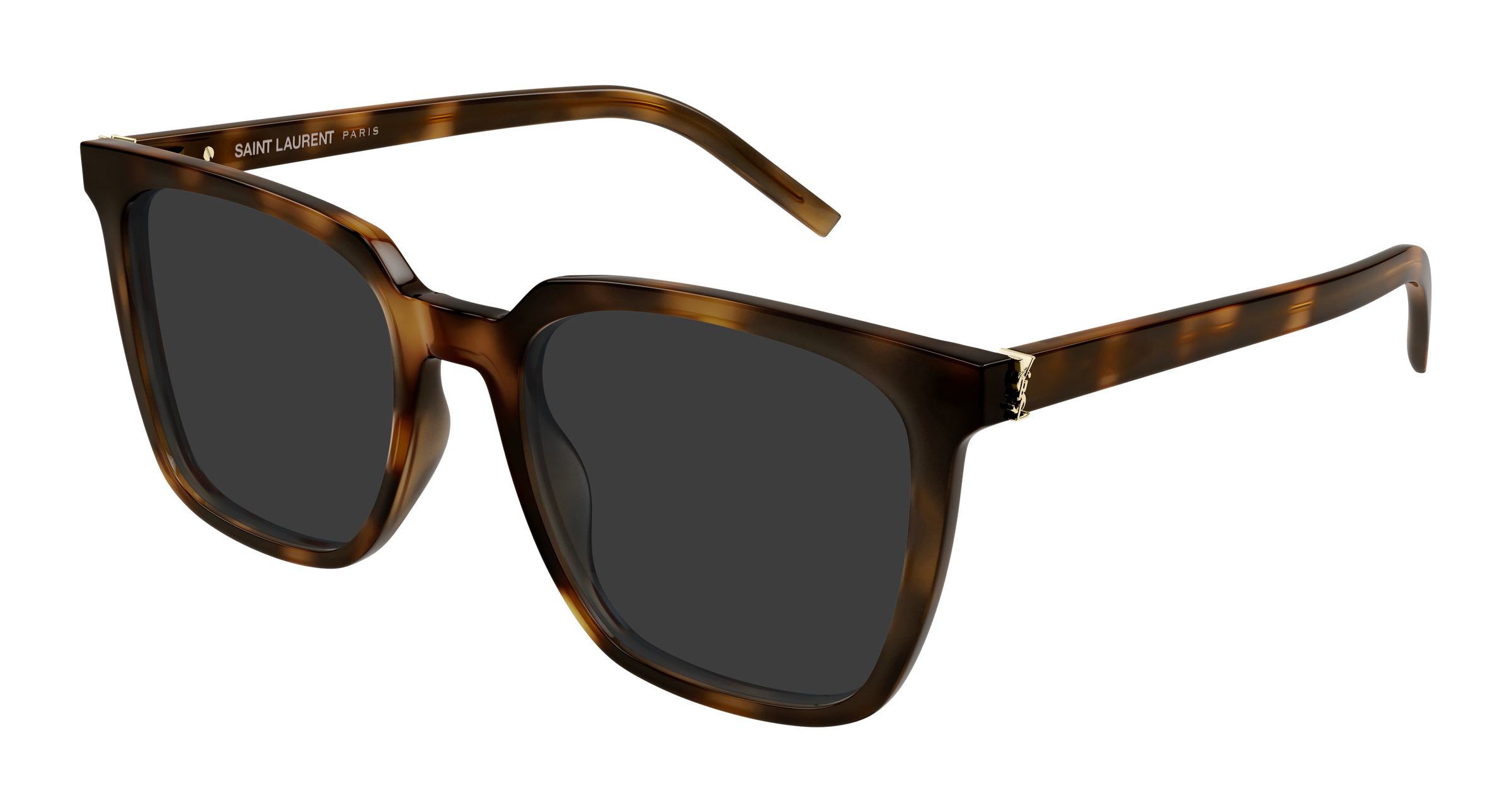 Saint Laurent SL M146 Havana 898 889652555898