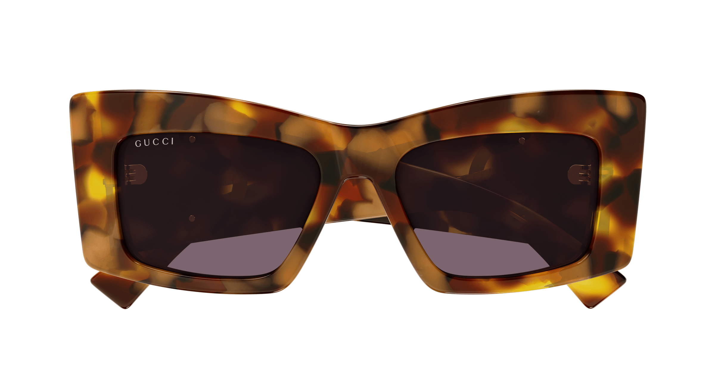 Havana Sunglasses Gucci 889652528755