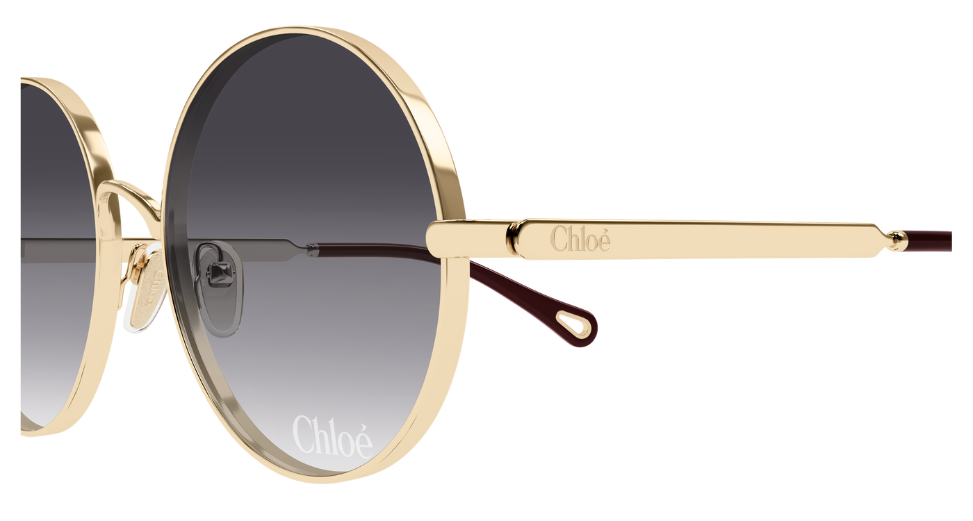 Chloe CH0321S Sunglasses 889652601250