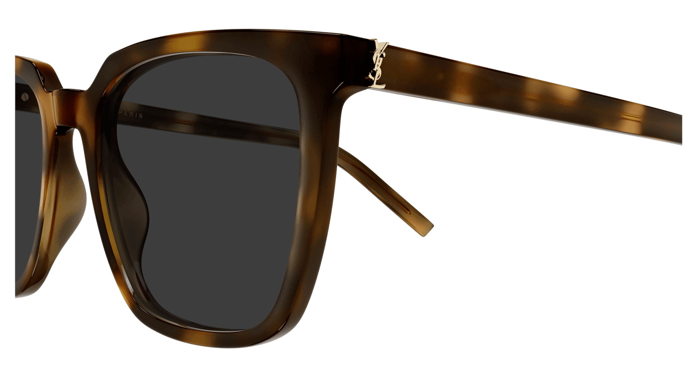 Saint Laurent SL M146/K Havana 928 889652555928