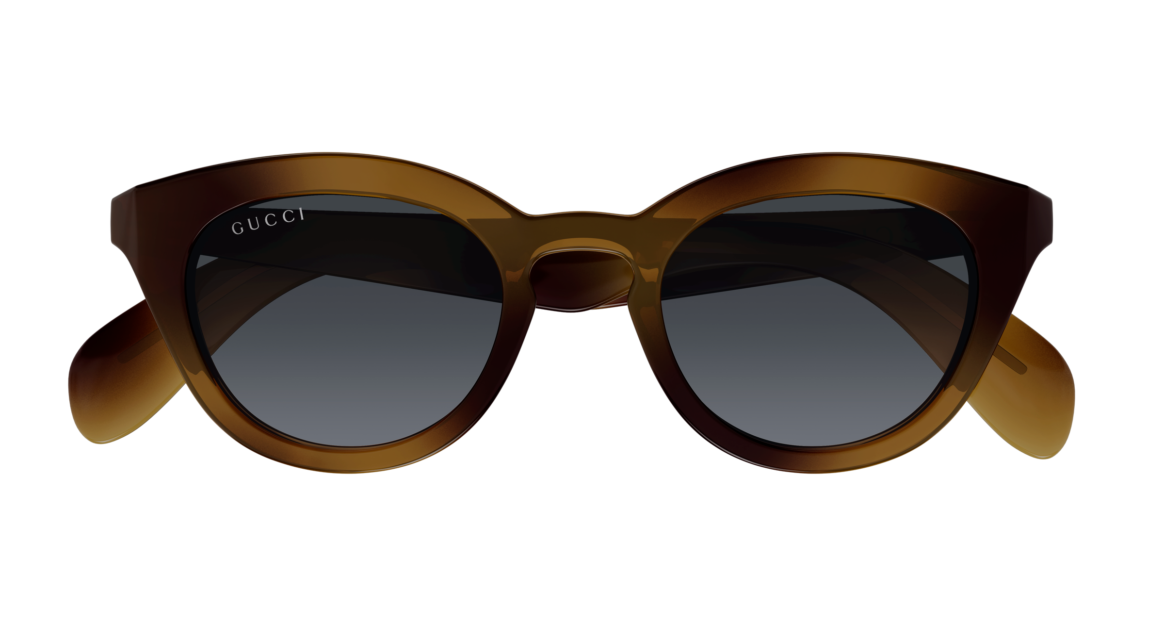 Gucci GG1934S Havana 003 889652570440