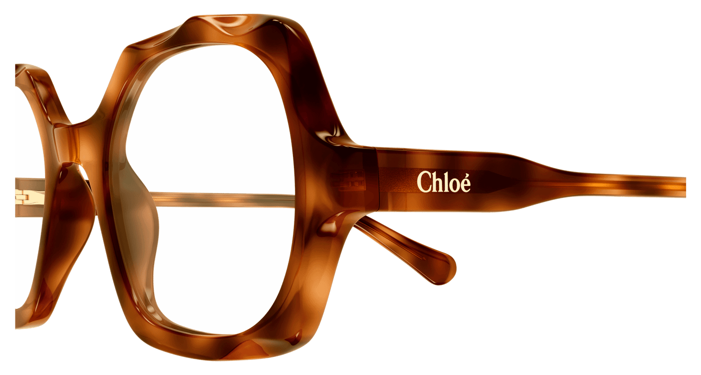 Chloe CC0026O Eyeglasses 889652543154