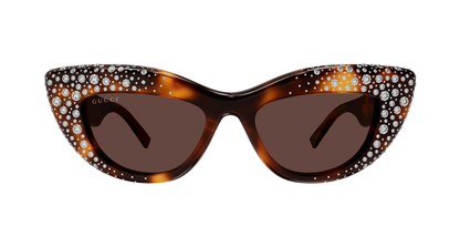 Gucci GG2031S Havana 006 889652634968