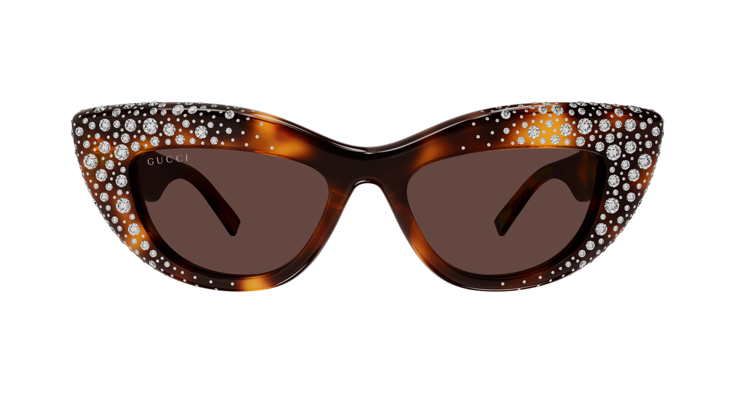 Gucci GG2031S Havana 006 889652634968