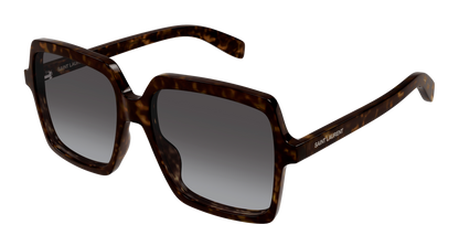 Saint Laurent SL 174 Havana 889652675831