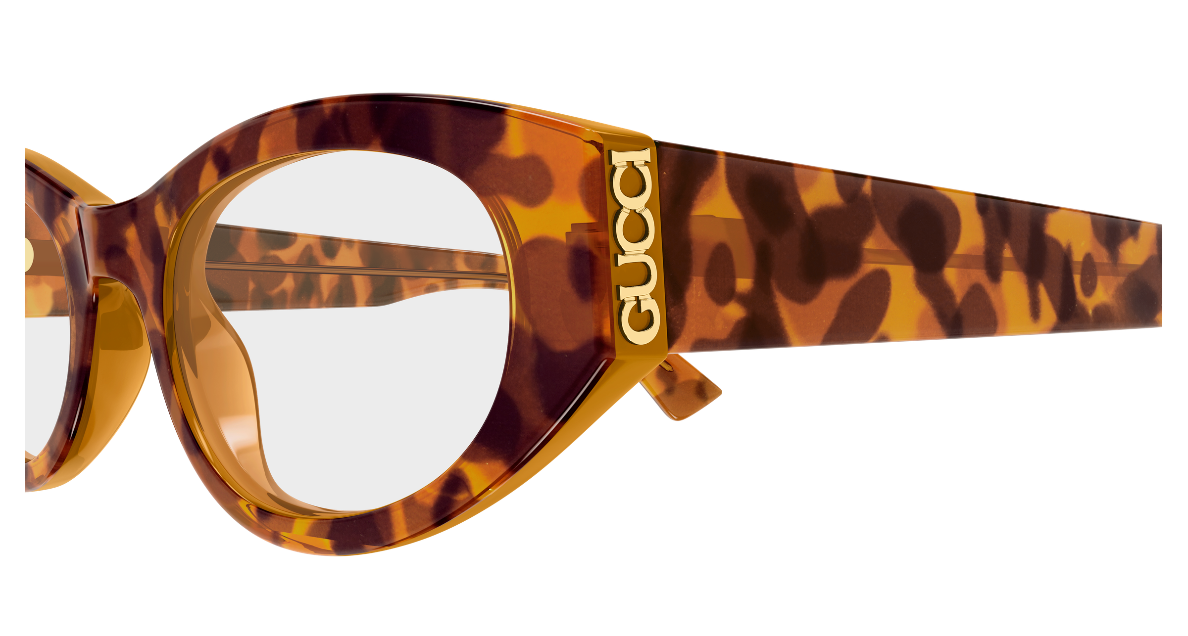 Gucci GG2041O Havana 004 889652625997