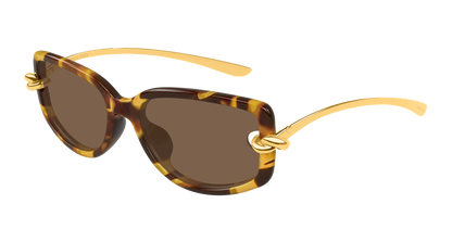 Bottega Veneta BV1440SA Havana 889652635545