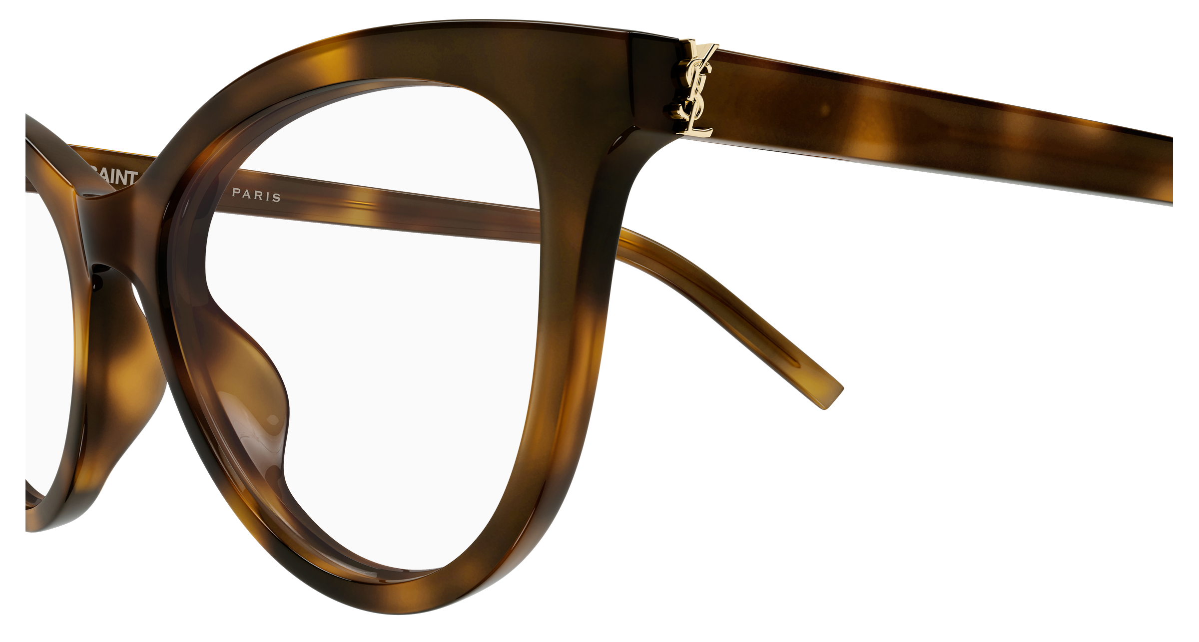 Saint Laurent SL M164 Havana 689 889652652689