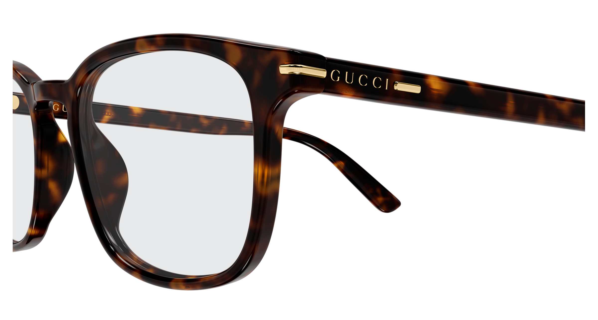 Gucci GG2129O Havana 889652625157