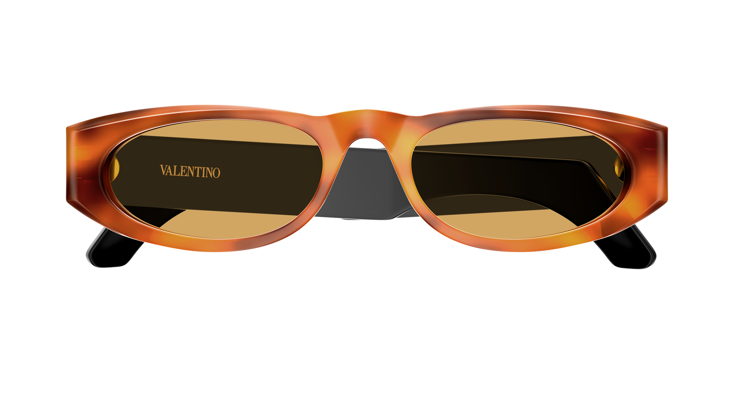 Valentino VG0007S Havana 889652667294