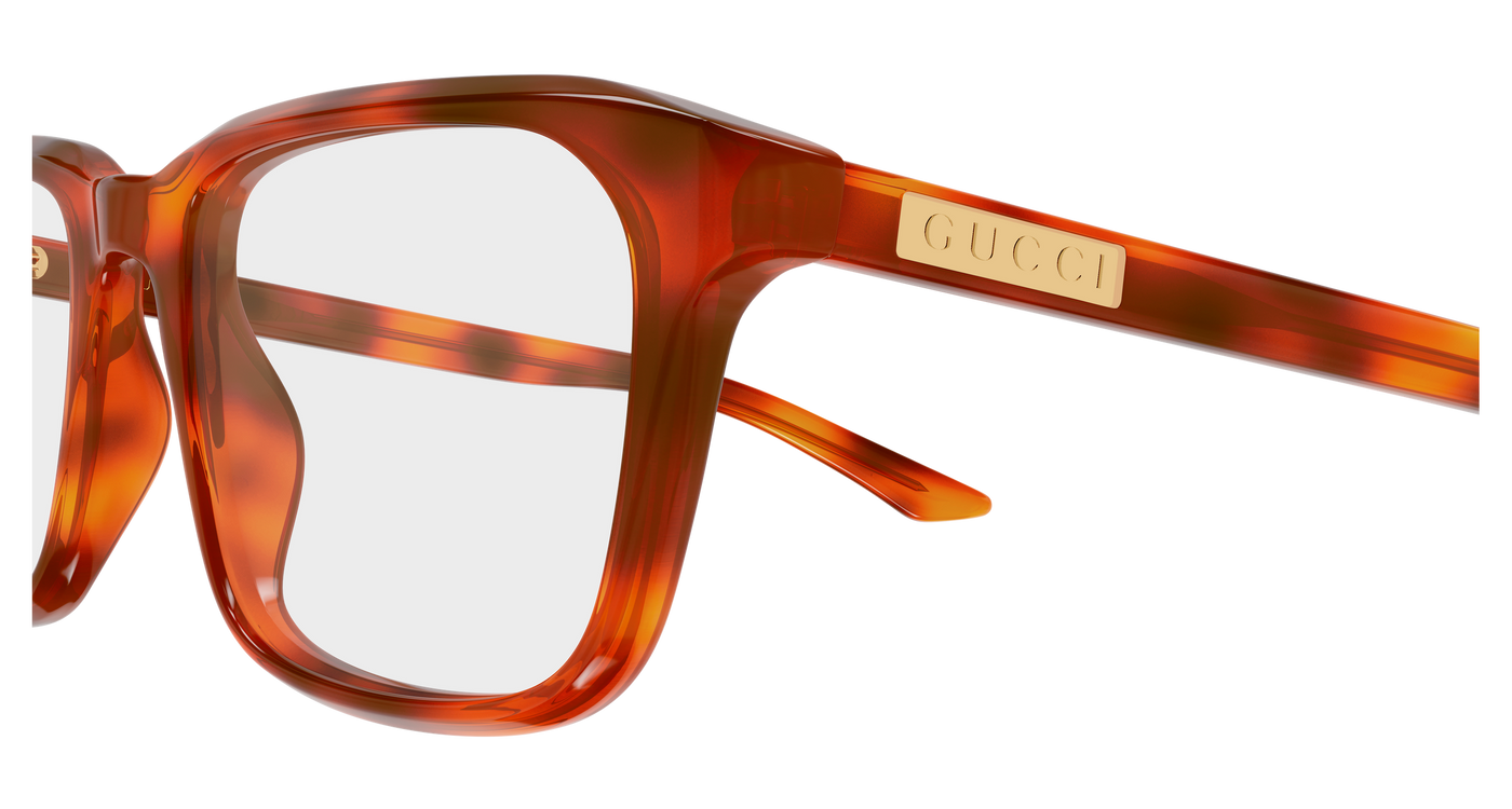 Gucci GG2081O Havana 008 889652625447