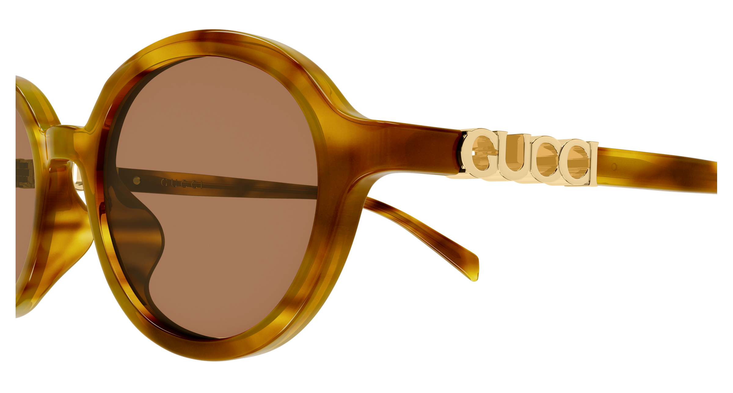 Gucci GG2033SA Havana 003 889652632391