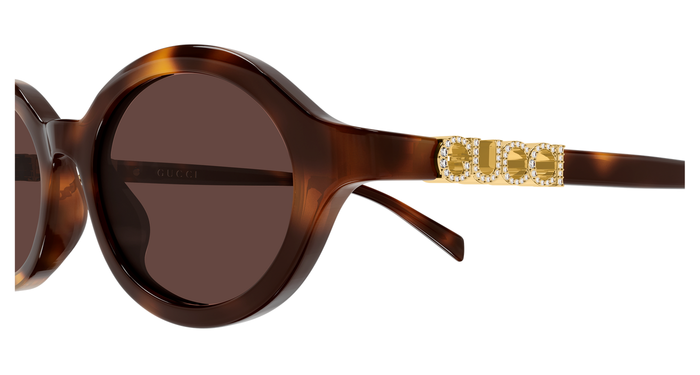 Gucci GG2153S Havana 006 889652634647