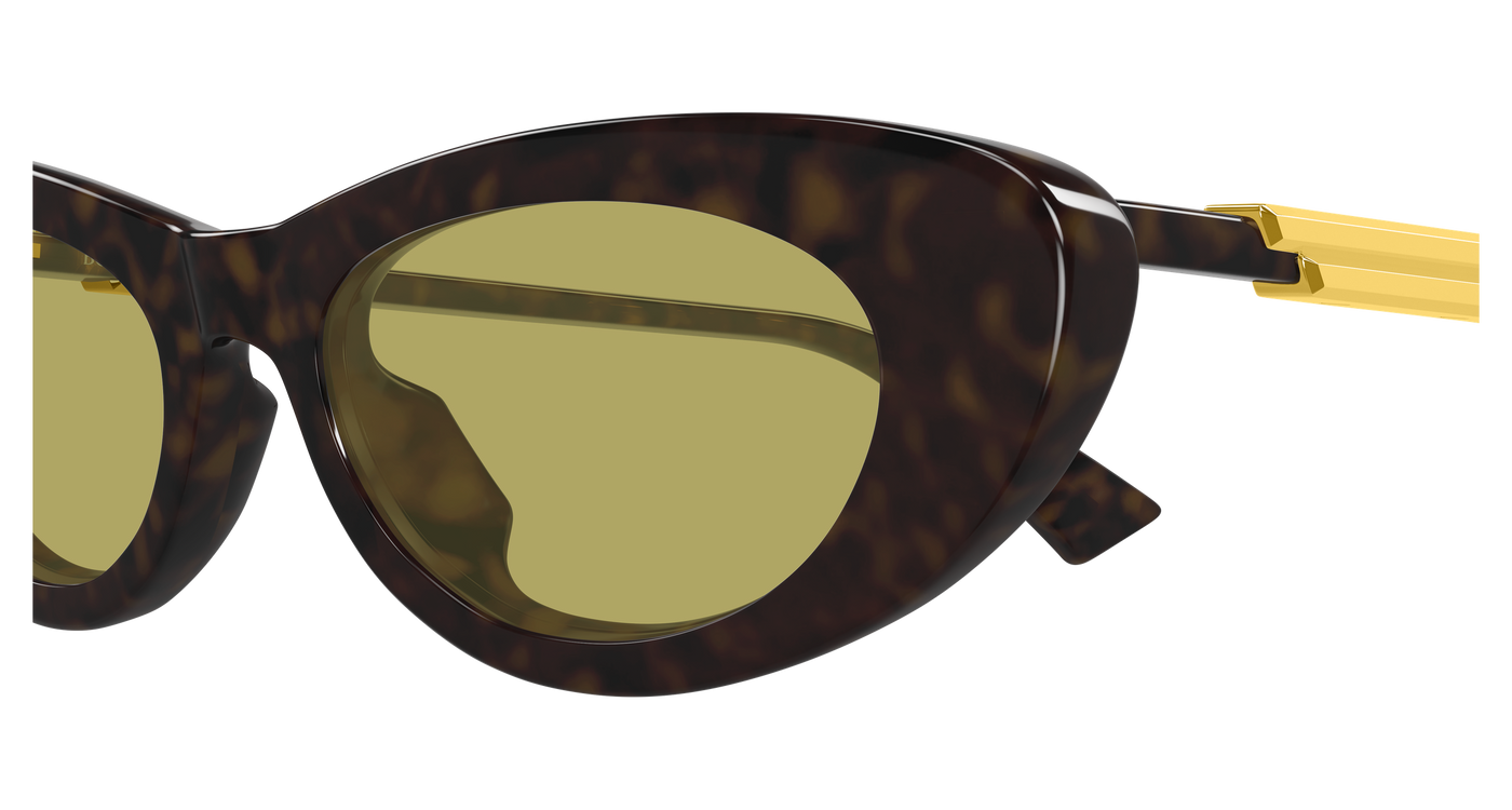 Bottega Veneta BV1447S Havana 889652635859