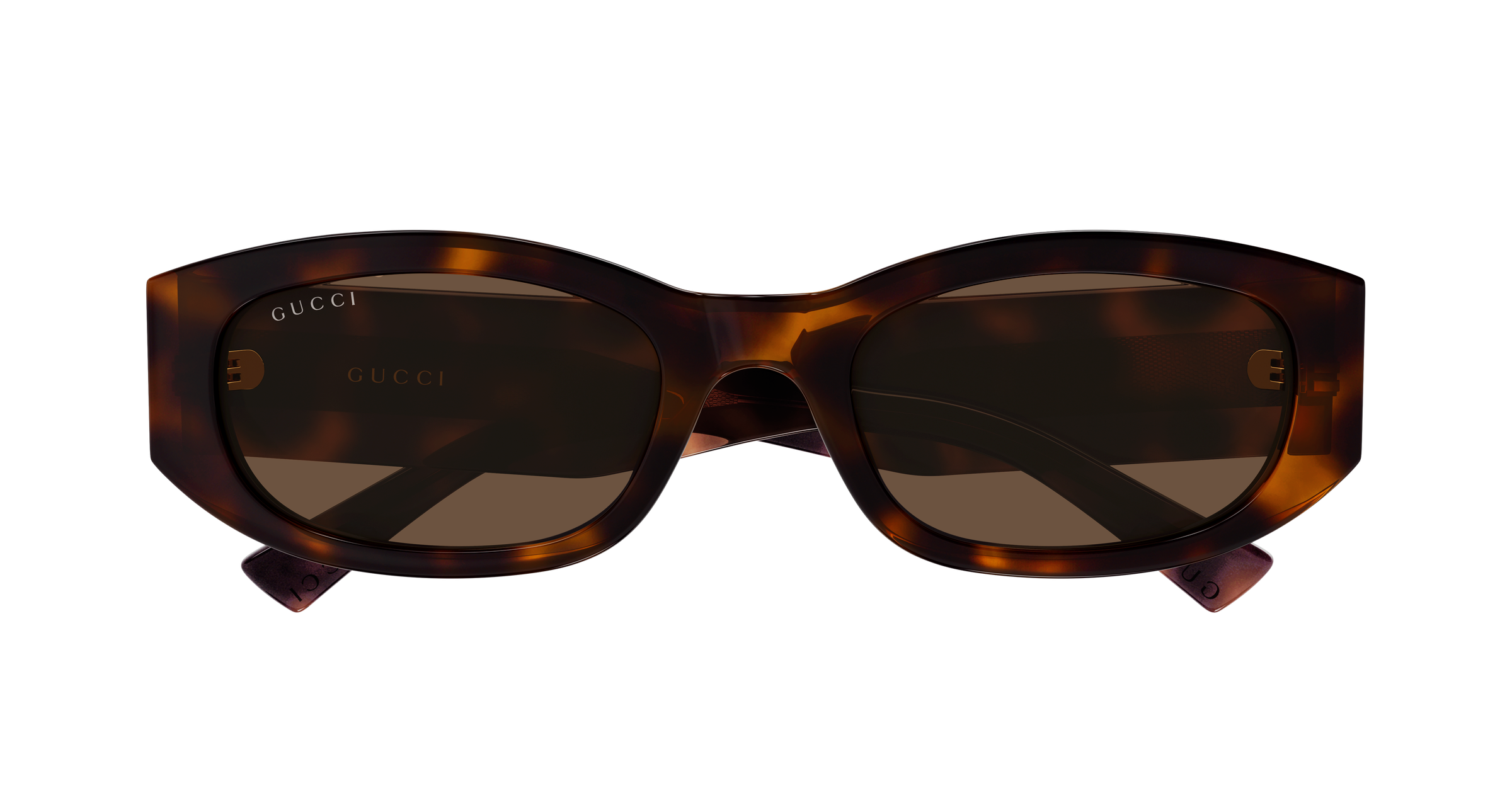 Gucci GG2068SA Havana 889652631424