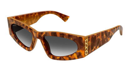 Gucci GG2040S Havana 004 889652625959