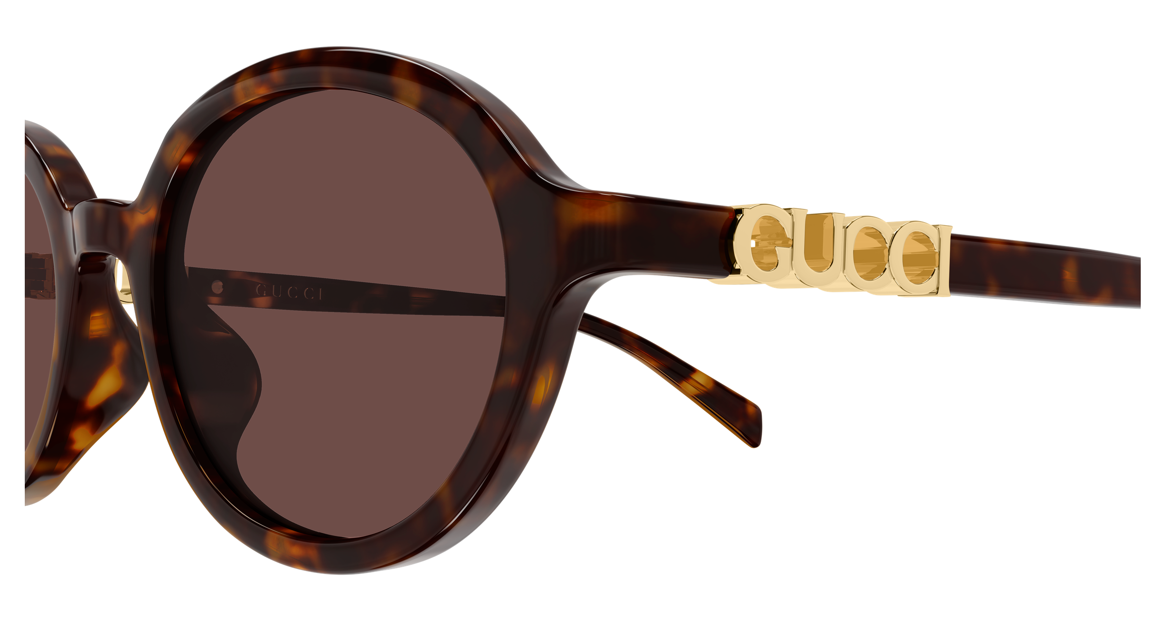 Gucci GG2033SA Havana 002 889652632384