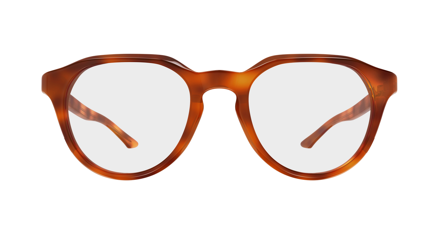Gucci GG2083O Havana 004 889652625560