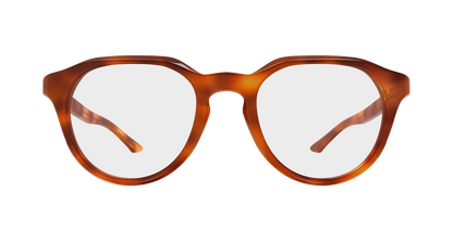 Gucci GG2083O Havana 004 889652625560