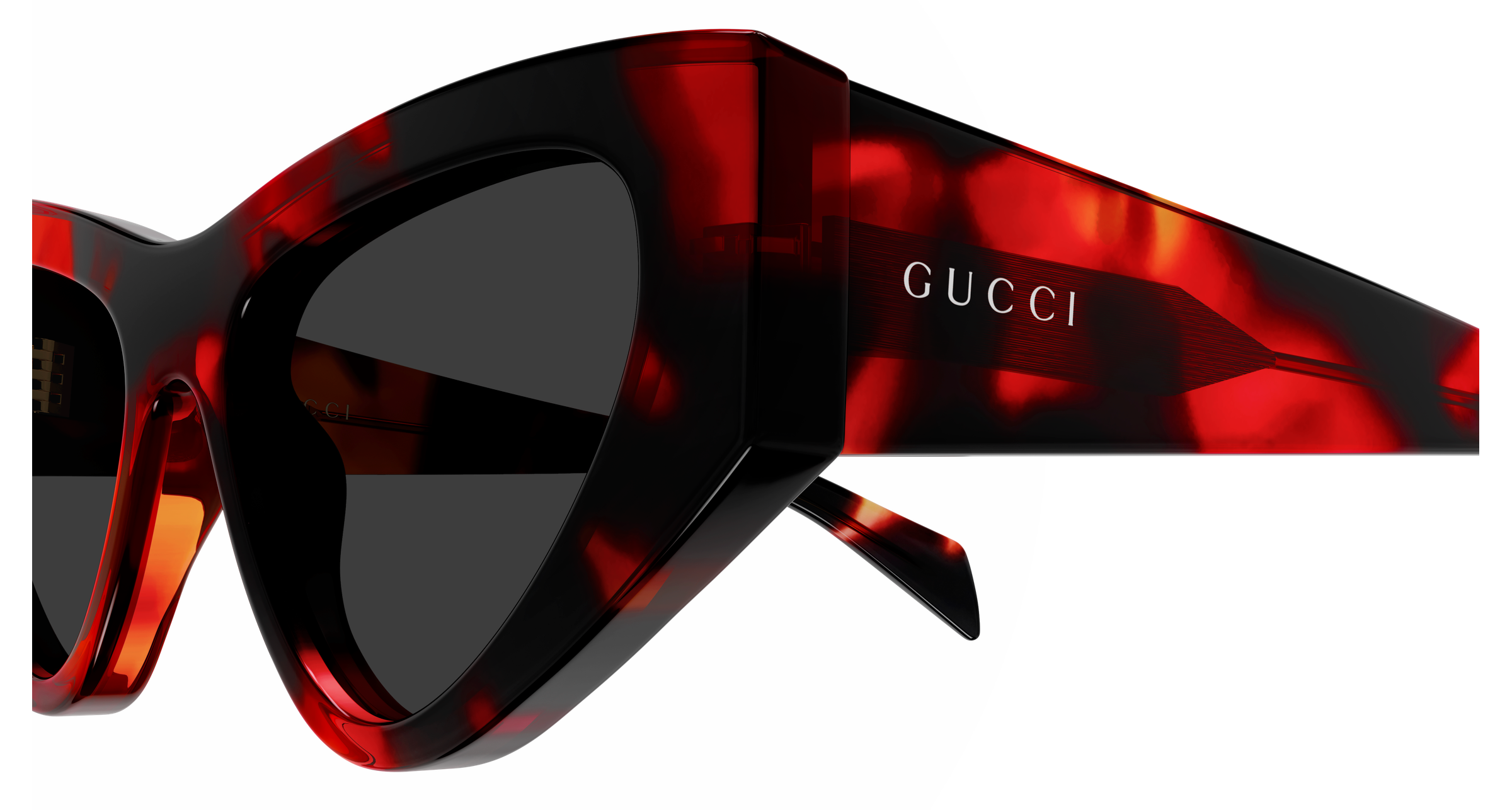 Gucci GG2019S Havana 889652630663