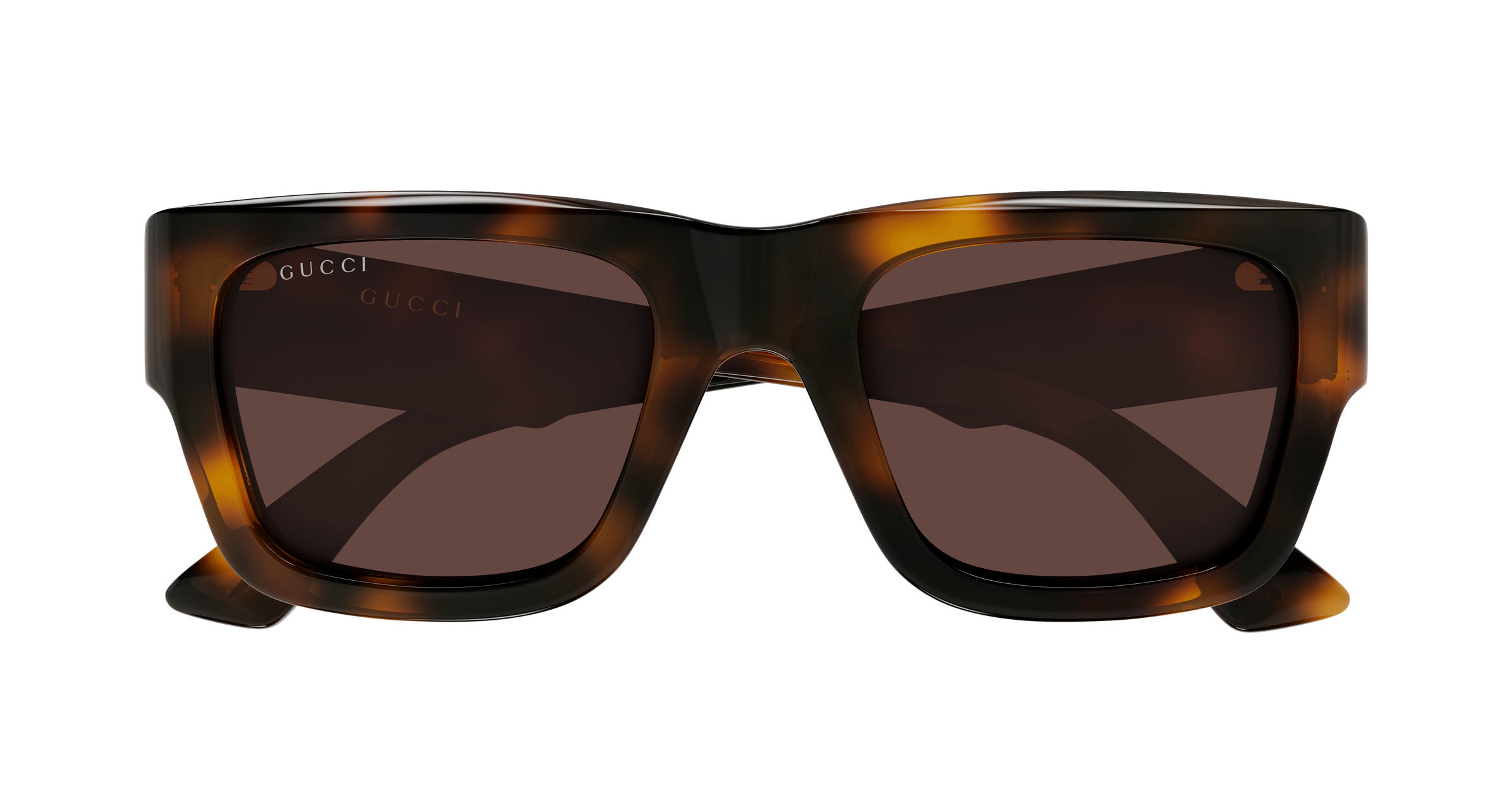 Gucci GG1668S Havana 008 889652627069