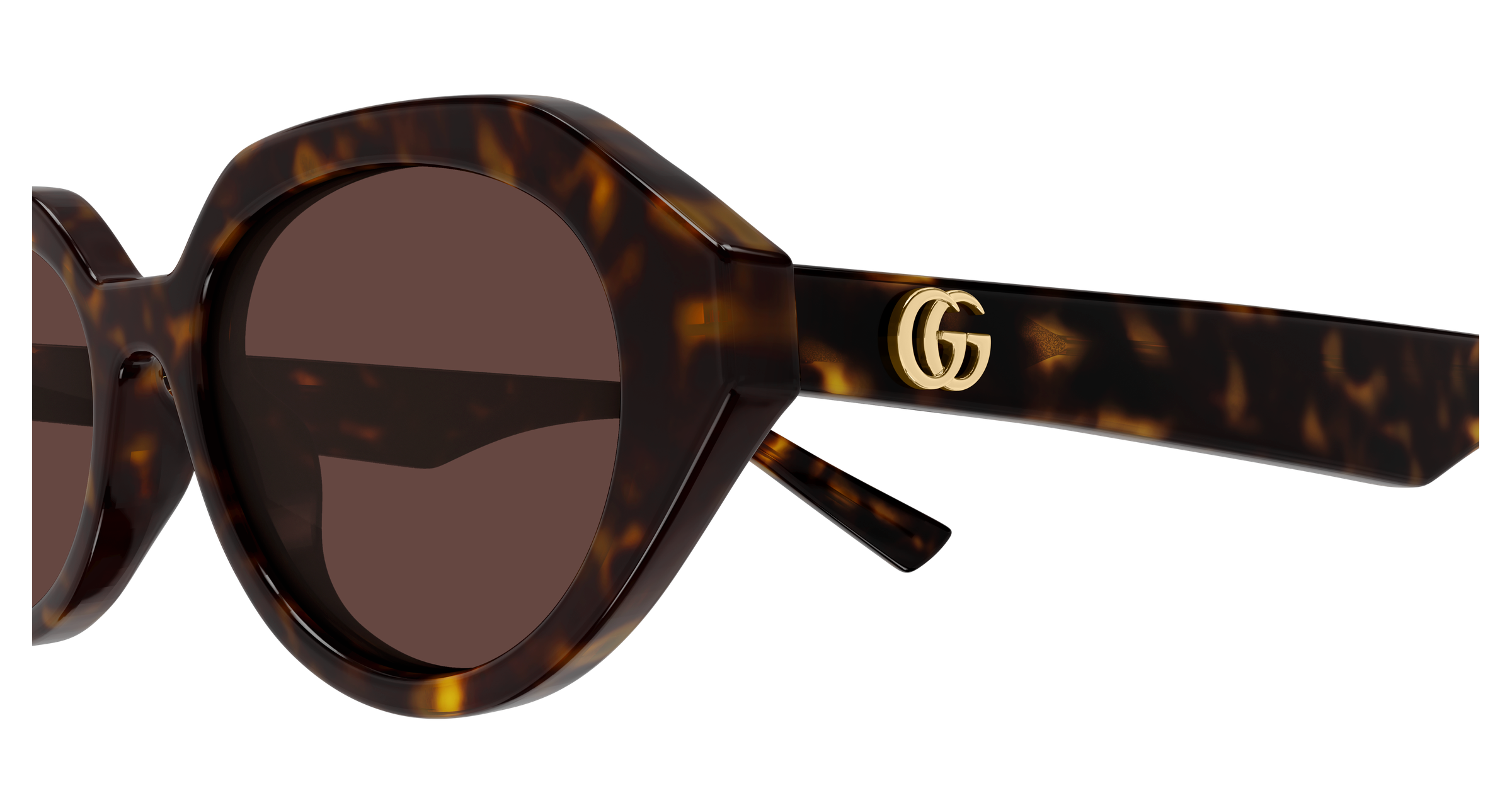 Gucci GG2178S Havana 002 889652667515