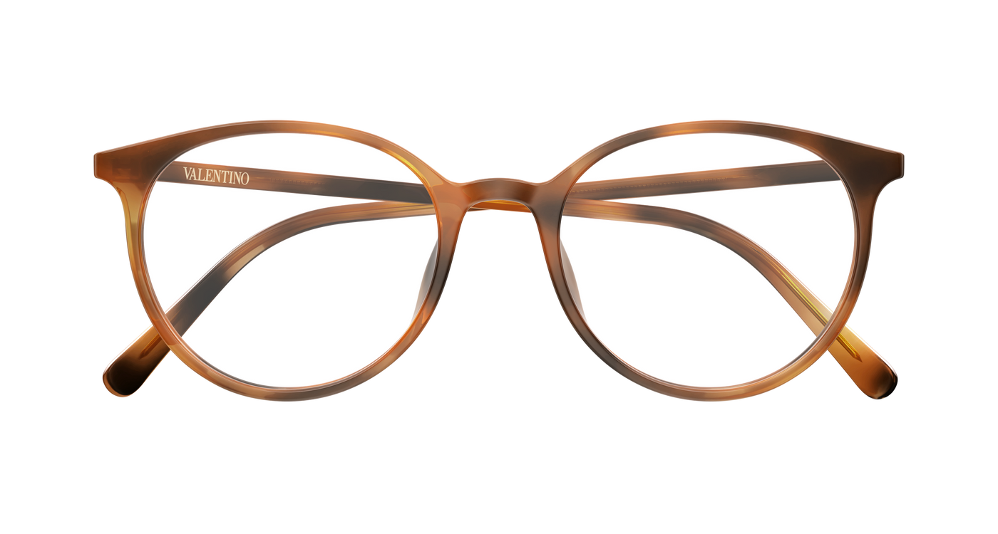 Valentino VG0041OK Havana 889652668475