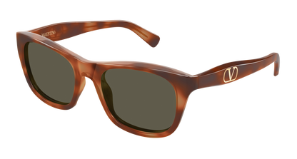Valentino VG0013SK Havana 889652668260