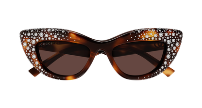 Gucci GG2031S Havana 006 889652634968