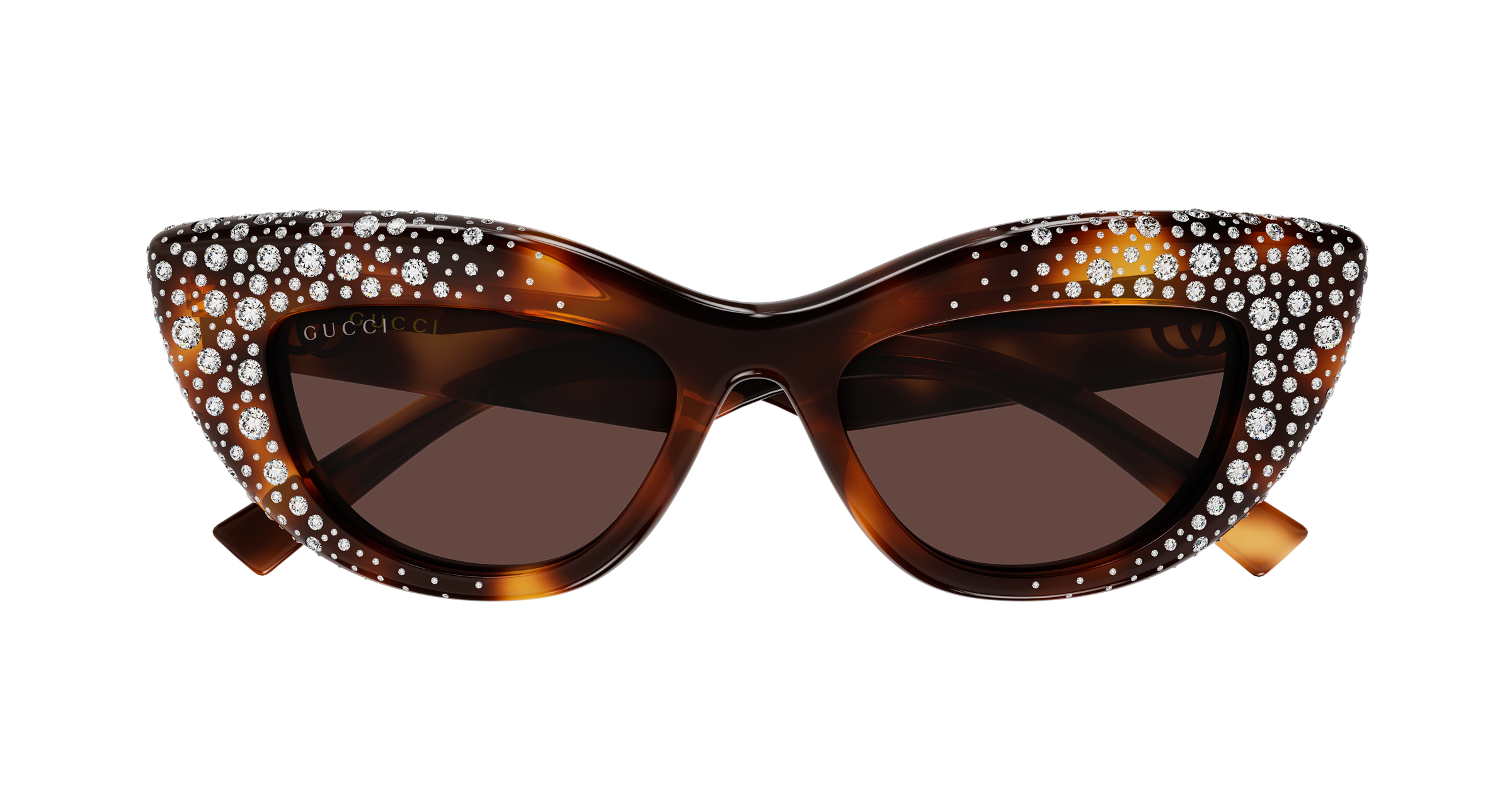 Gucci GG2031S Havana 006 889652634968