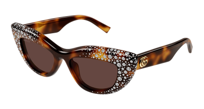 Gucci GG2031S Havana 006 889652634968