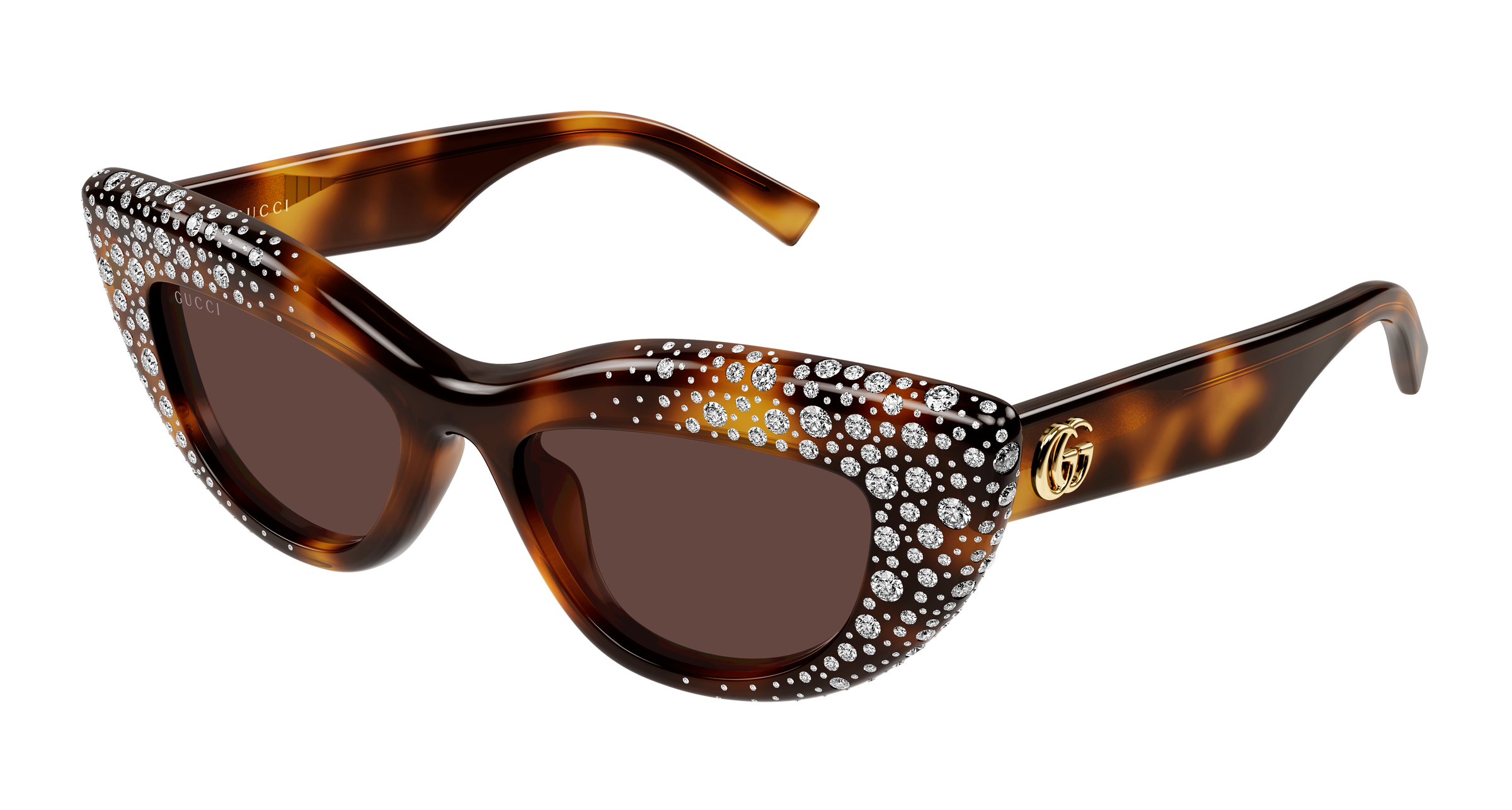 Gucci GG2031S Havana 006 889652634968